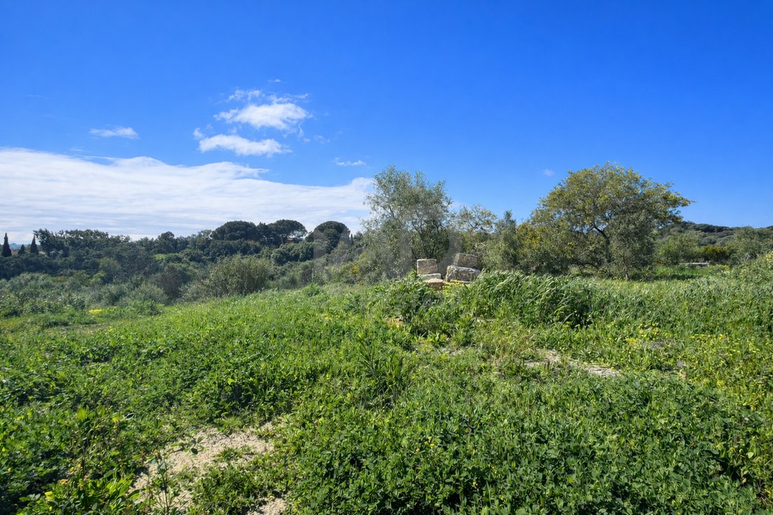 Land in Sotogrande, San Roque, Andalusia 4 - 17644120