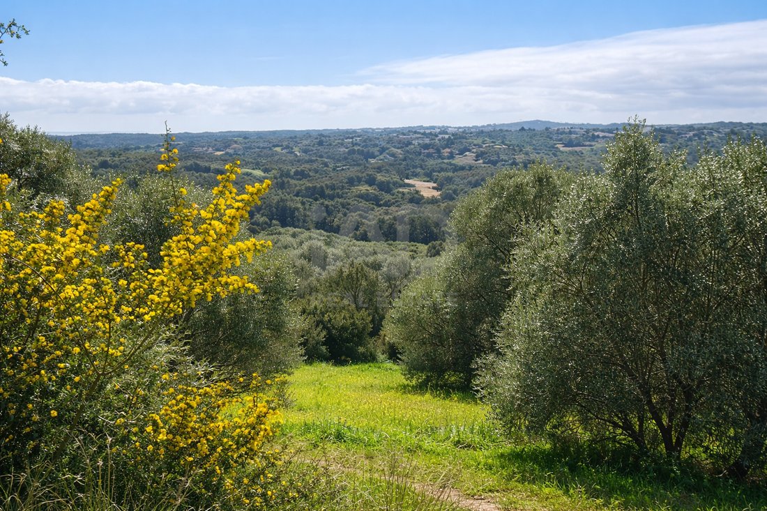 Land in Sotogrande, San Roque, Andalusia 3 - 17644120