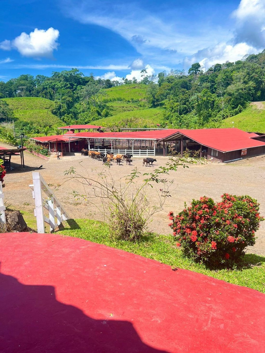Estate in Turrialba, Cartago Province, Costa Rica 3 - 17646251