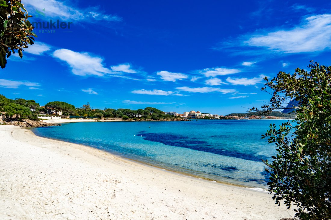 Appartement à Figari/Golfo Aranci, Sardaigne, Italie 1 - 17646363