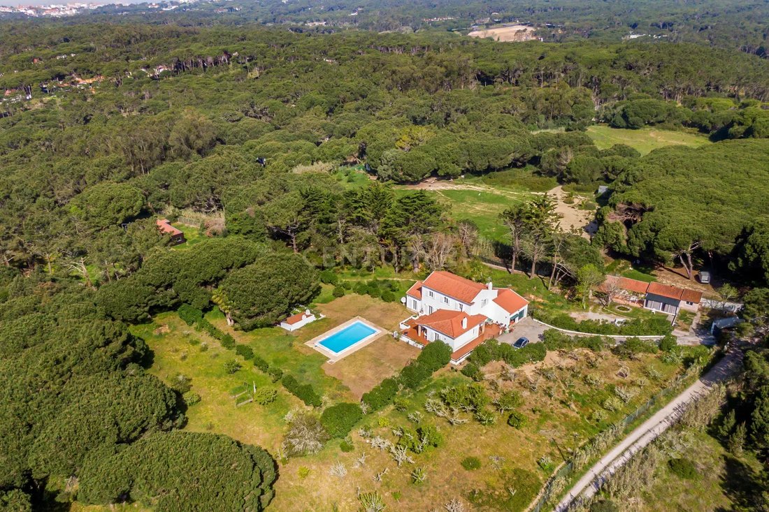 Villa in Sintra, Lisbon, Portugal 1 - 17650023