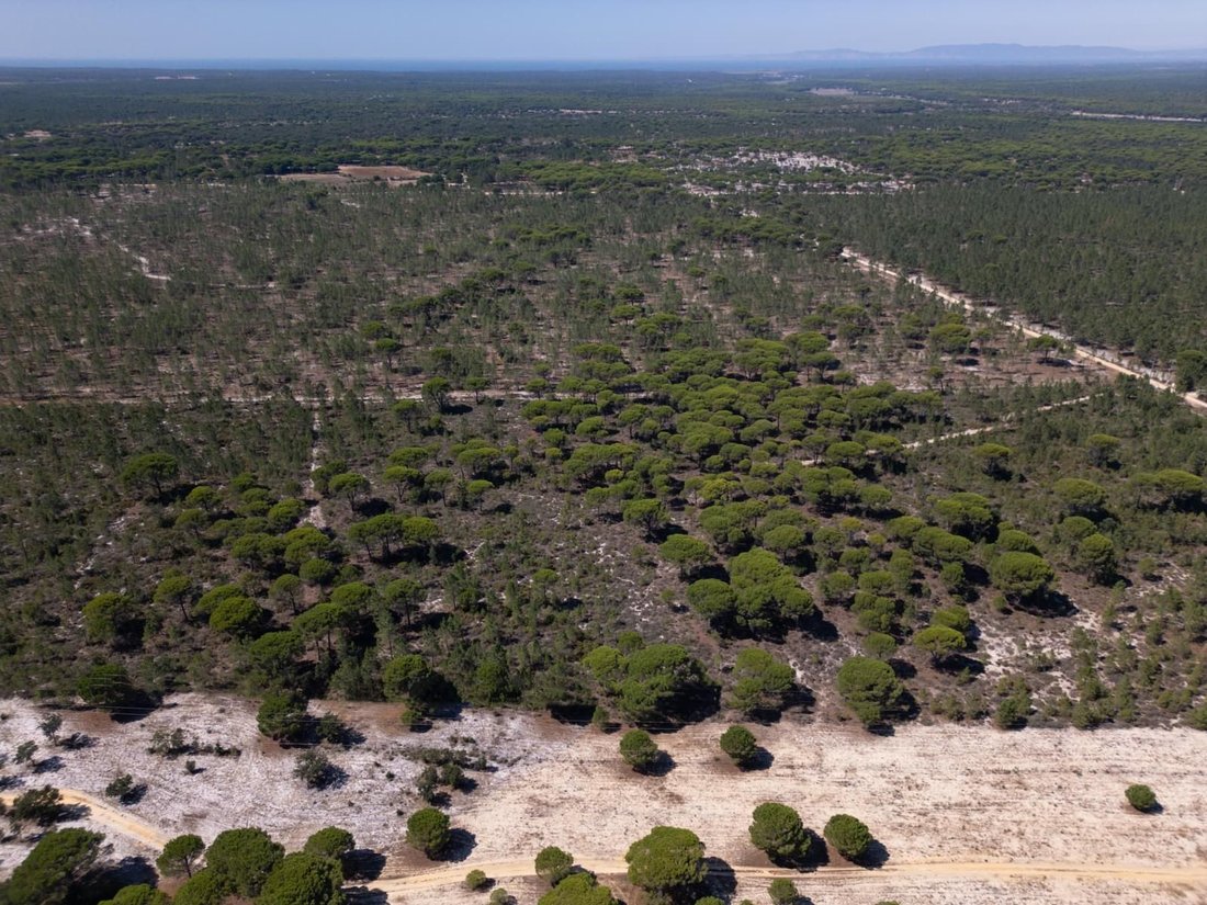 Land in Grandola e Santa Margarida da Serra, Setubal, Portugal 1 - 17652575