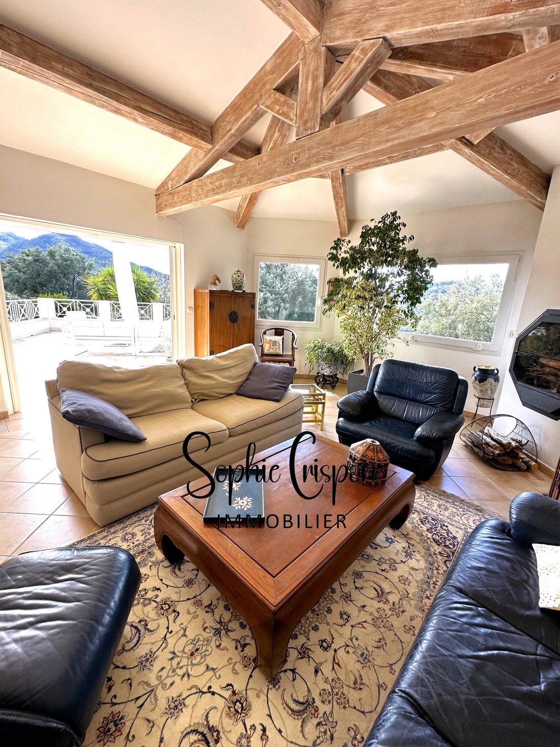 Villa in Les Adrets-de-l'Estérel, Provence-Alpes-Côte d'Azur, France 3 - 17647042