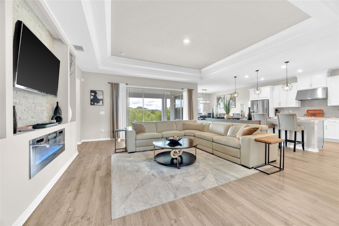 House in Wesley Chapel, Florida, United States 4 - 17645995