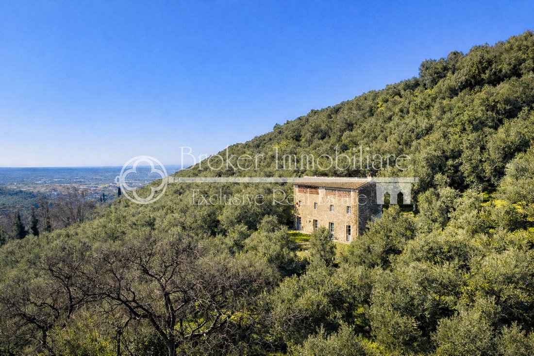 Villa in Lido di Camaiore, Camaiore, Tuscany 3 - 17329616