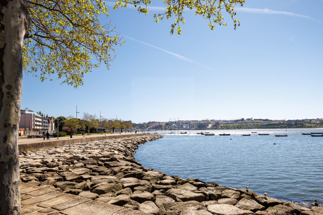 Apartment in Aldoar, Foz do Douro e Nevogilde, Porto District, Portugal 4 - 17653014