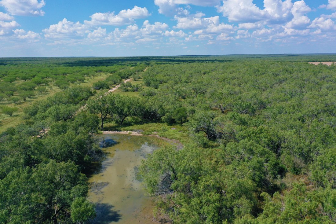Farm Ranch in Rio Grande City, Texas, United States 1 - 17644801