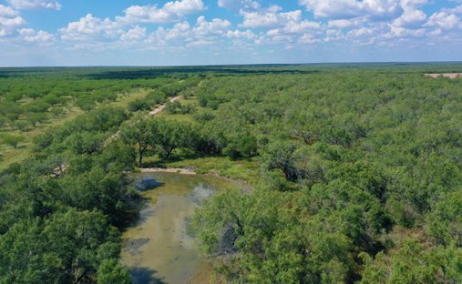 Farm Ranch in Rio Grande City, Texas, United States 1