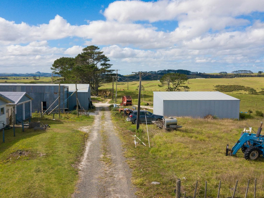 Farm Ranch in Dargaville, Northland, New Zealand 3 - 17651650