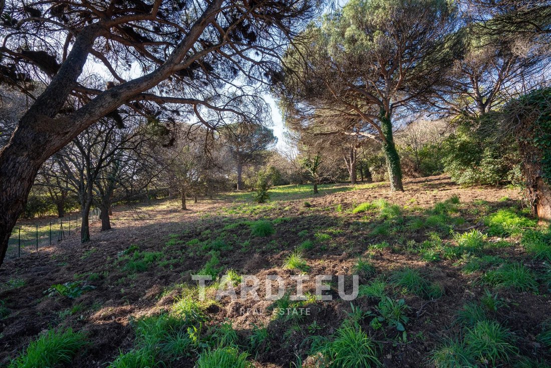 Land in Ramatuelle, Provence-Alpes-Côte d'Azur, France 2 - 17629760