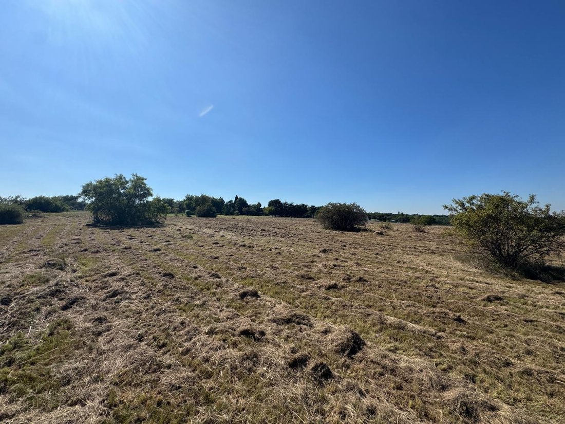 Land in Rietfontein 2-Ir, Gauteng, South Africa 5 - 17647258
