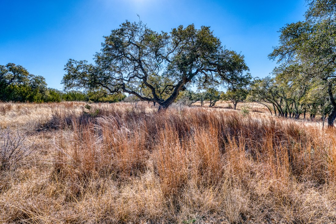 Farm Ranch in Round Mountain, Texas, United States 4 - 17644844