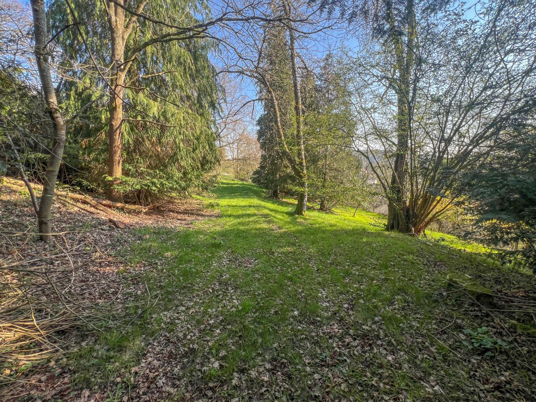 Land in Saint-Rémy-lès-Chevreuse, Île-de-France, France 1 - 17646305