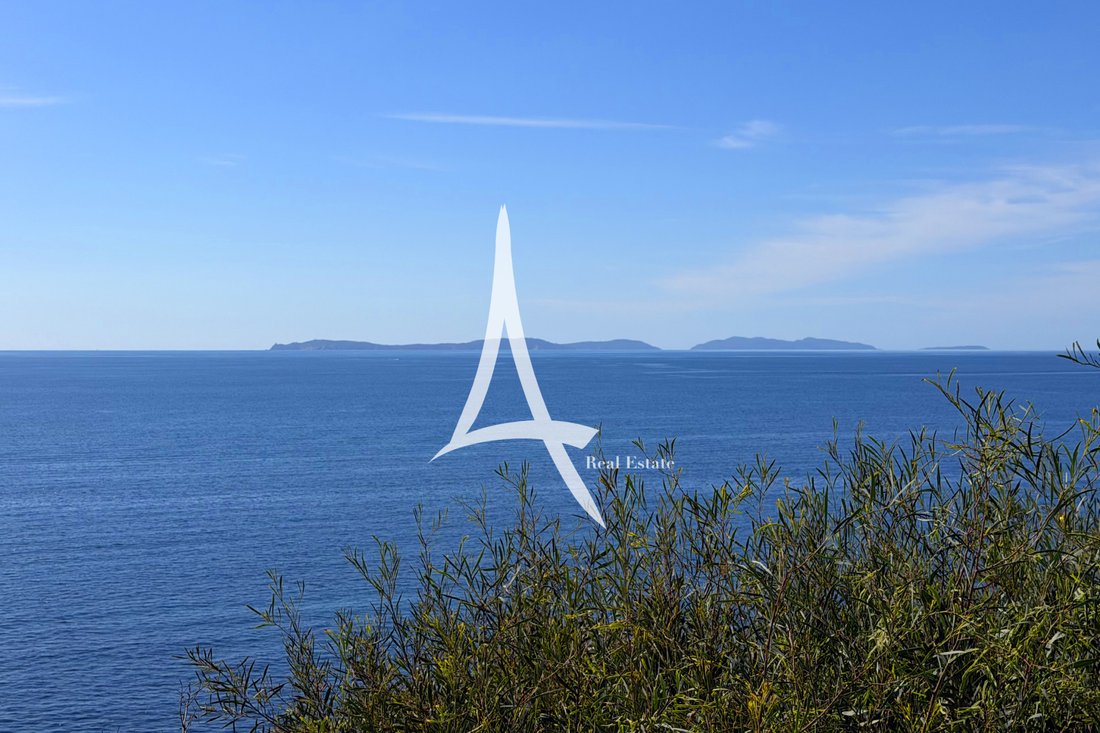 Villa in La Croix-Valmer, Provence-Alpes-Côte d'Azur, France 4 - 16879457