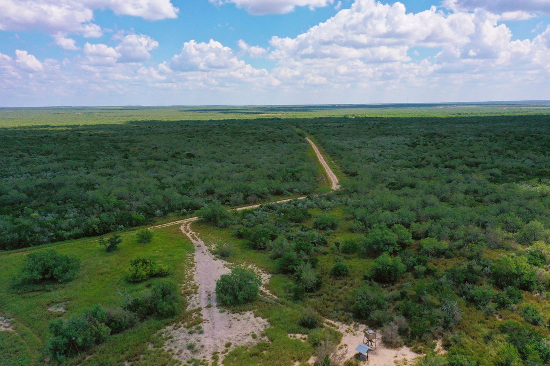 Farm Ranch in Rio Grande City, Texas, United States 4 - 17644801