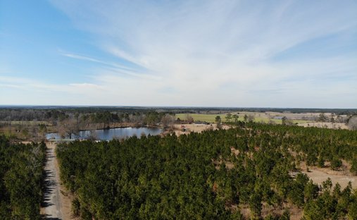House in Rhine, Georgia, United States 1