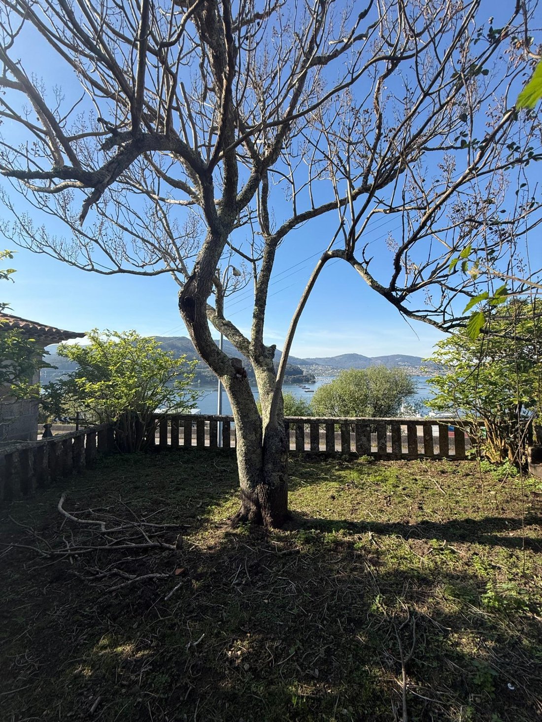 Villa in Cedeira, Redondela, Spain 5 - 17651927