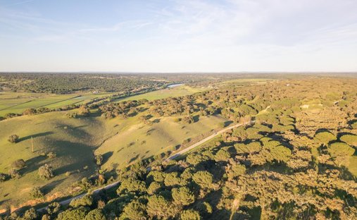 Terreno en Alcácer do Sal, Setúbal Municipality, Portugal 1