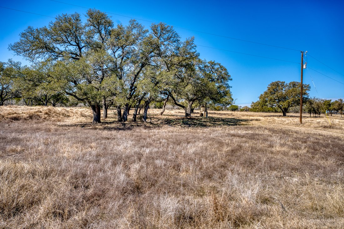 Farm Ranch in Round Mountain, Texas, United States 5 - 17644844