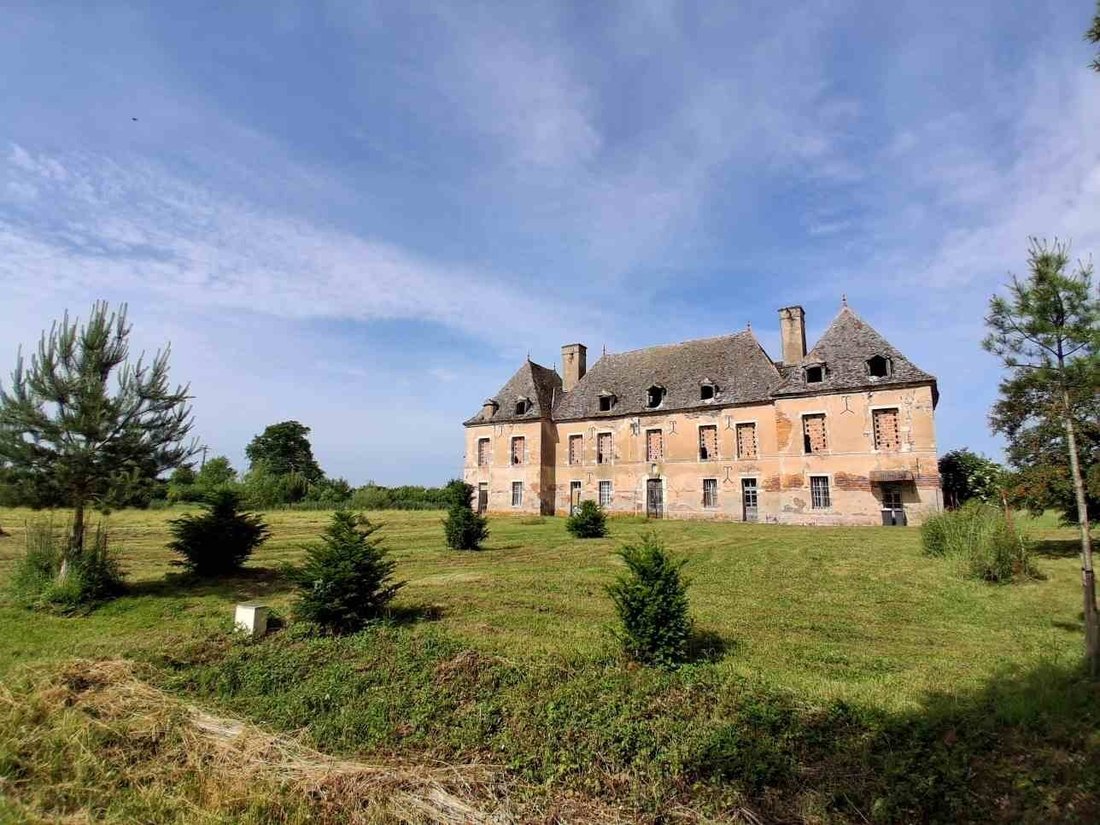 Chateau in Serrigny-en-Bresse, Bourgogne – Franche-Comté, France 1 - 17651576