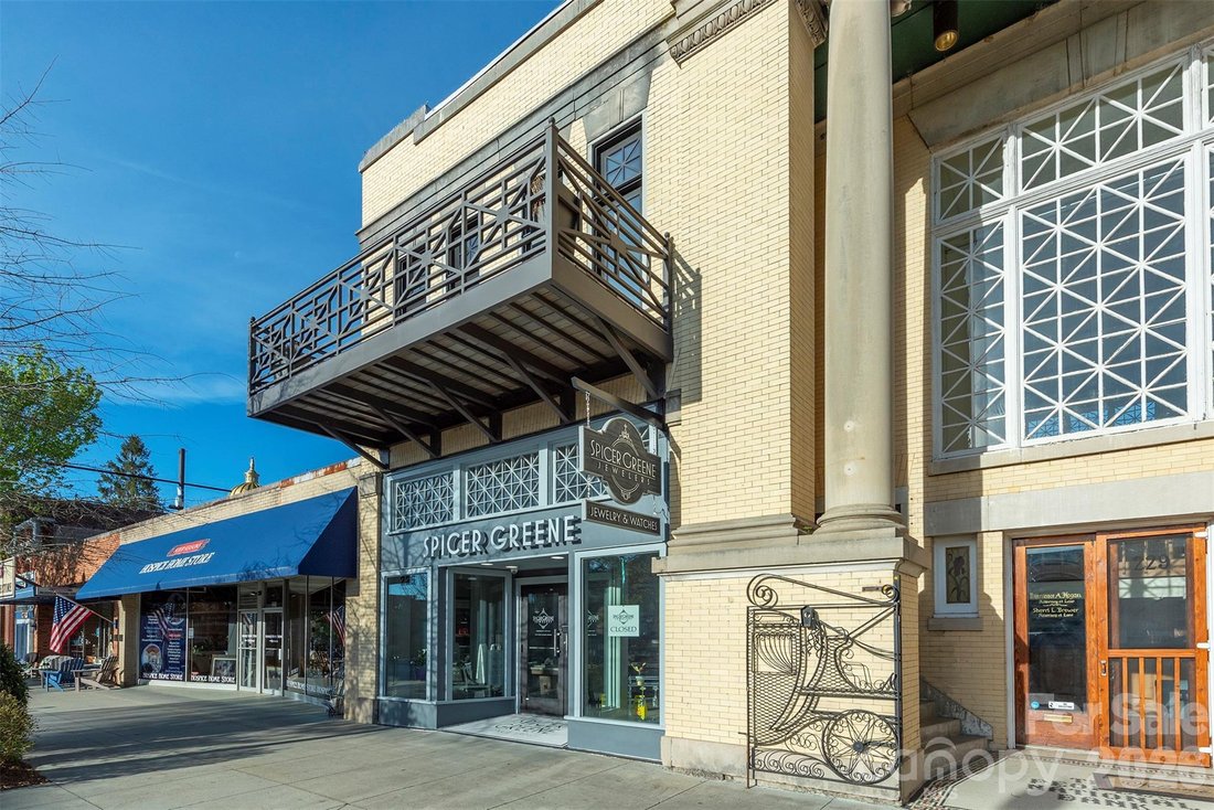 Condo in Laurel Park, North Carolina, United States 3 - 17659039