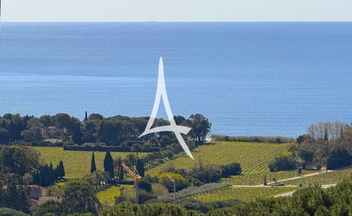 Villa in La Croix-Valmer, Provence-Alpes-Côte d'Azur, France 1