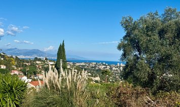 Villa in Vallauris, Provence-Alpes-Côte d'Azur, Frankreich 2