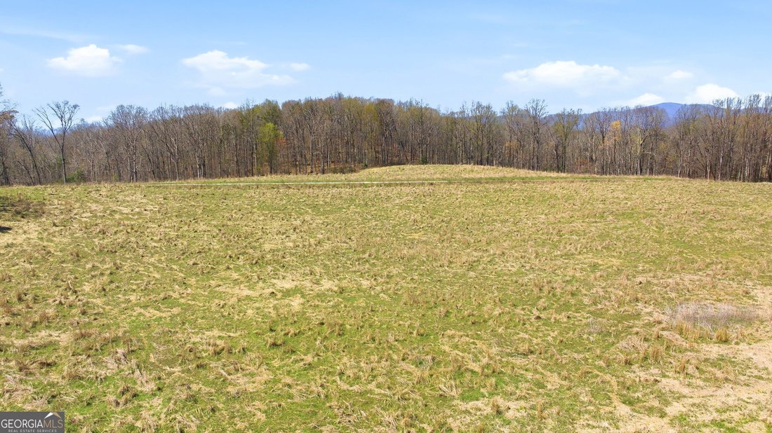 Farm Ranch in Clarkesville, Georgia, United States 5 - 17646065