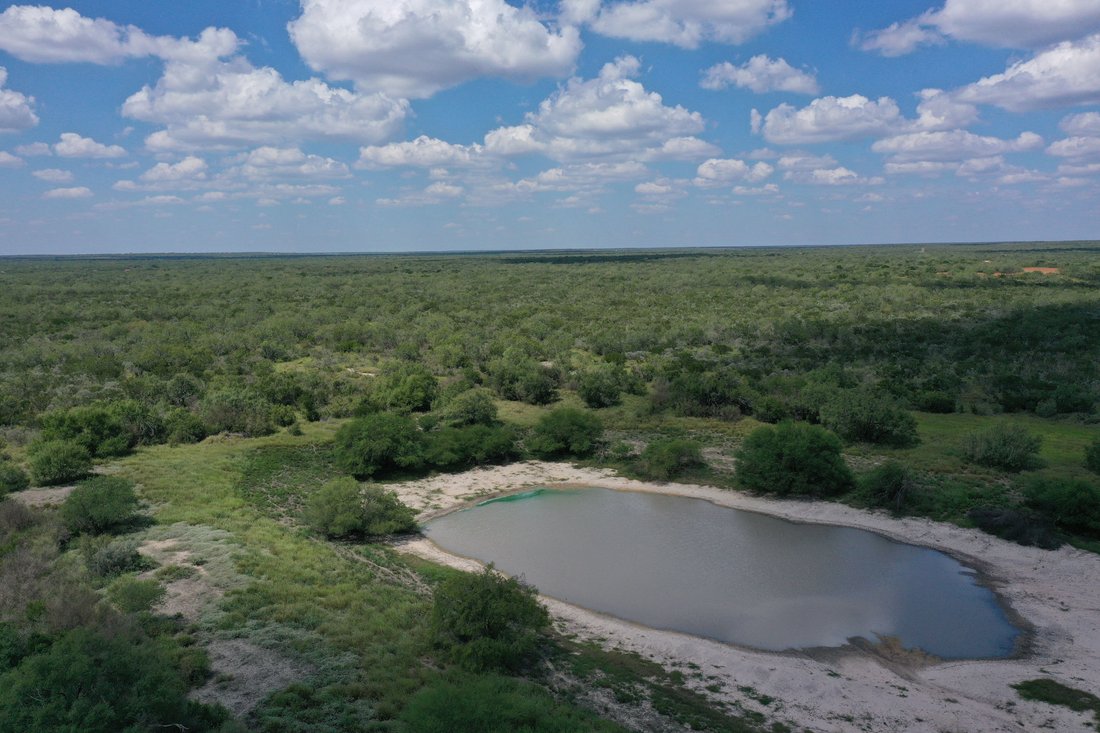 Farm Ranch in Rio Grande City, Texas, United States 3 - 17644801