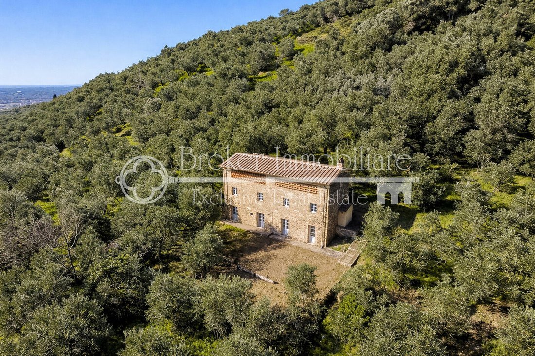 Villa in Lido di Camaiore, Camaiore, Tuscany 4 - 17329616