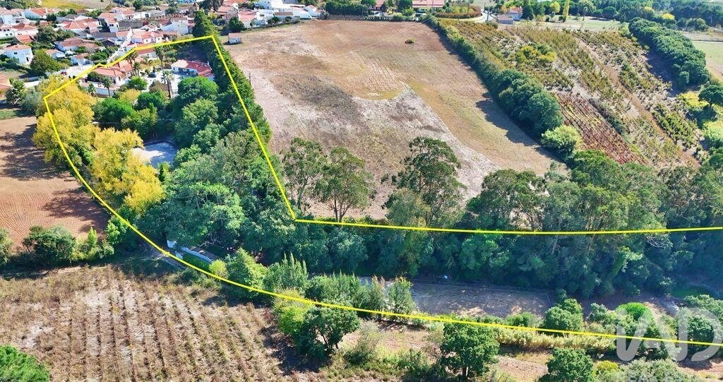 Terreno a Bombarral e Vale Covo, Distretto di Leiria, Portogallo 3 - 17653007