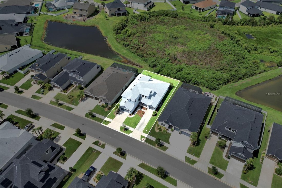 House in Wesley Chapel, Florida, United States 2 - 17645995