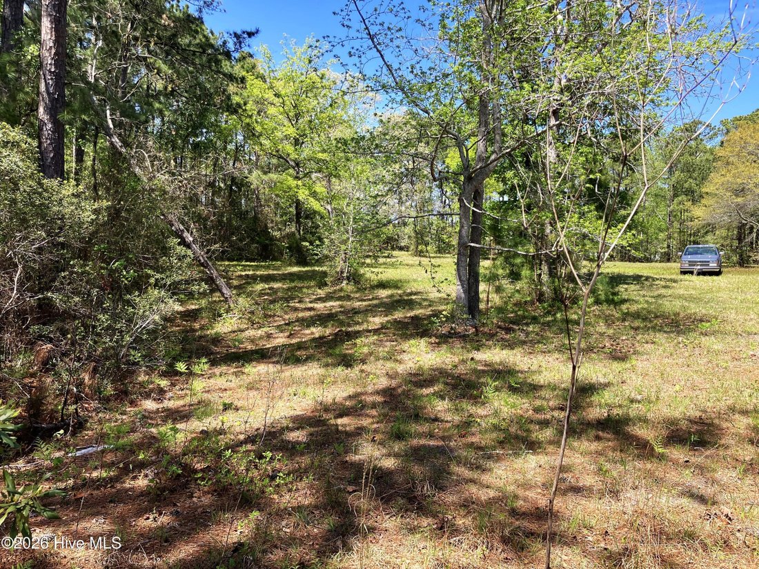 Land in Havelock, North Carolina, United States 4 - 17630131