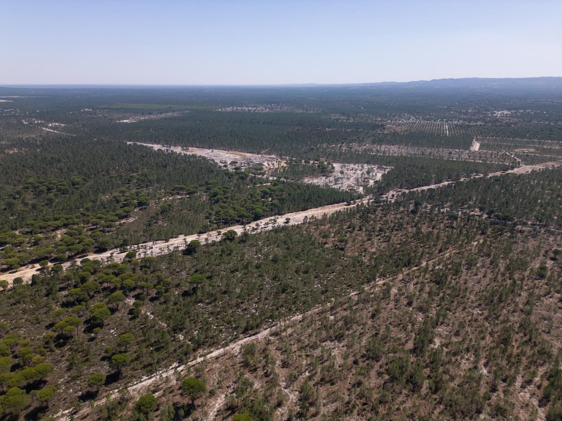 Land in Grandola e Santa Margarida da Serra, Setubal, Portugal 4 - 17652575