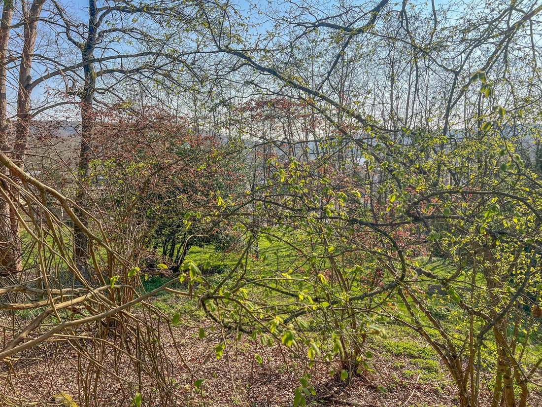 Land in Saint-Rémy-lès-Chevreuse, Île-de-France, France 2 - 17646305