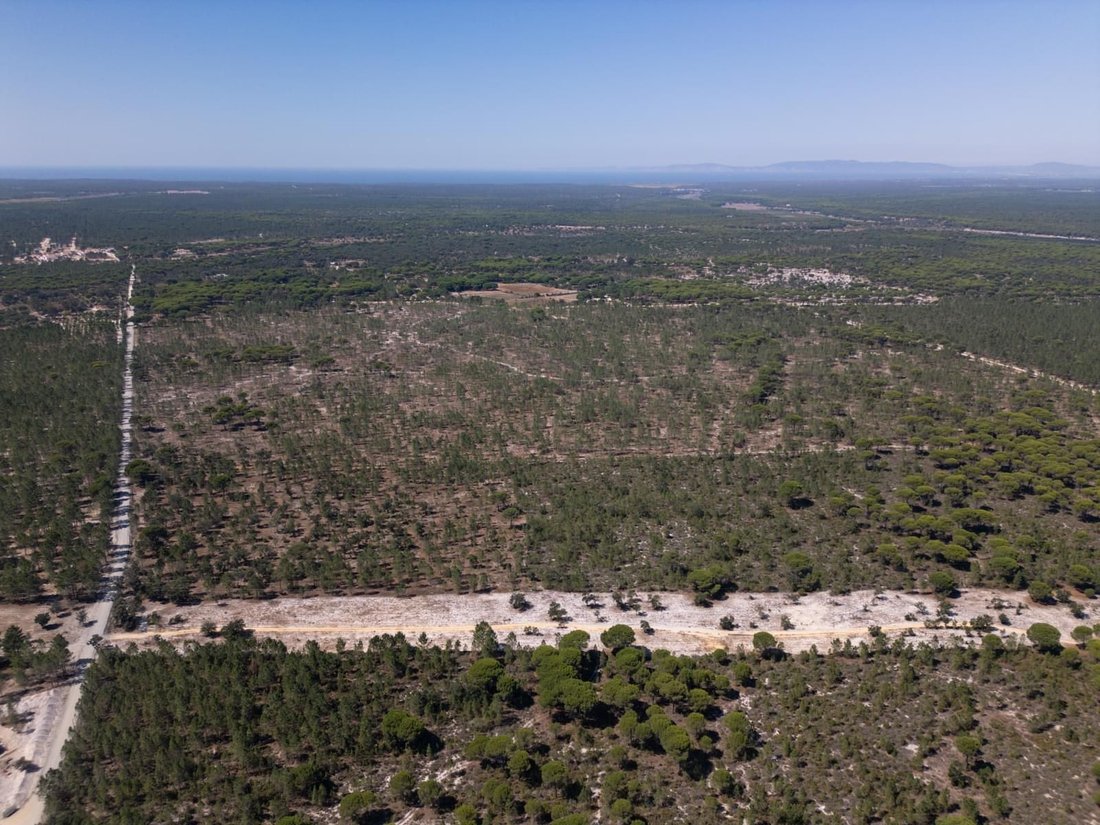 Land in Grandola e Santa Margarida da Serra, Setubal, Portugal 5 - 17652575