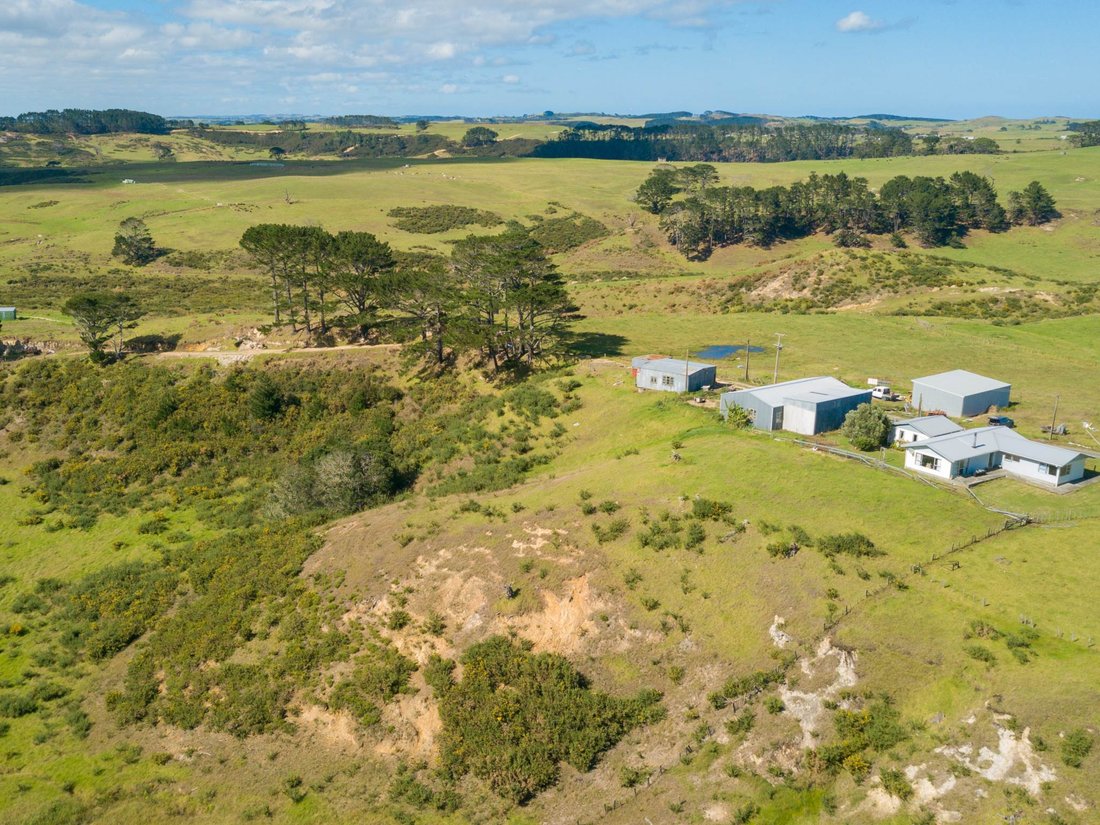 Farm Ranch in Dargaville, Northland, New Zealand 2 - 17651650