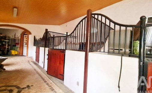 Rancho en Bombarral e Vale Covo, Distrito de Leiria, Portugal 1