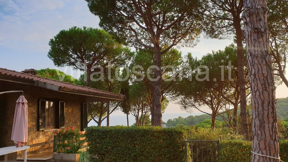 House in Rocchette, Castiglione della Pescaia, Tuscany 4 - 17656238