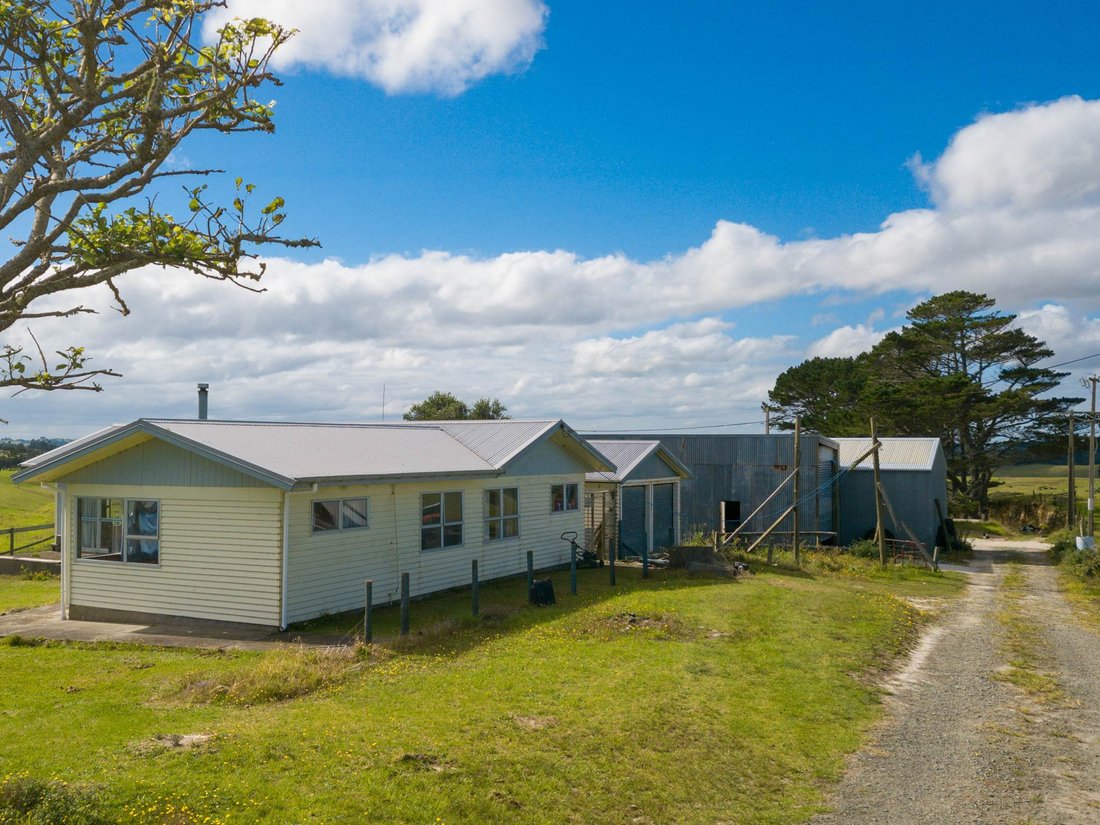 Farm Ranch in Dargaville, Northland, New Zealand 1 - 17651650