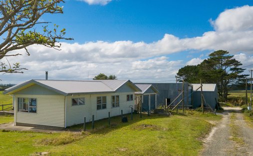 Farm Ranch in Dargaville, Northland, New Zealand 1