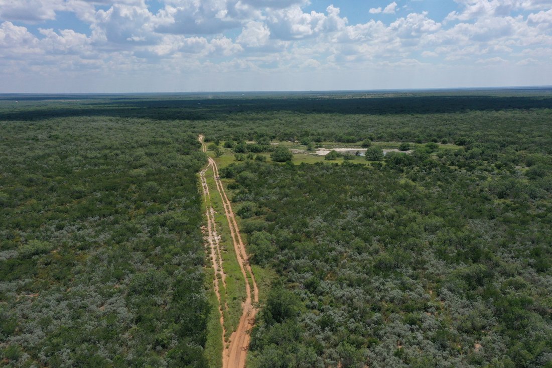 Farm Ranch in Rio Grande City, Texas, United States 5 - 17644801
