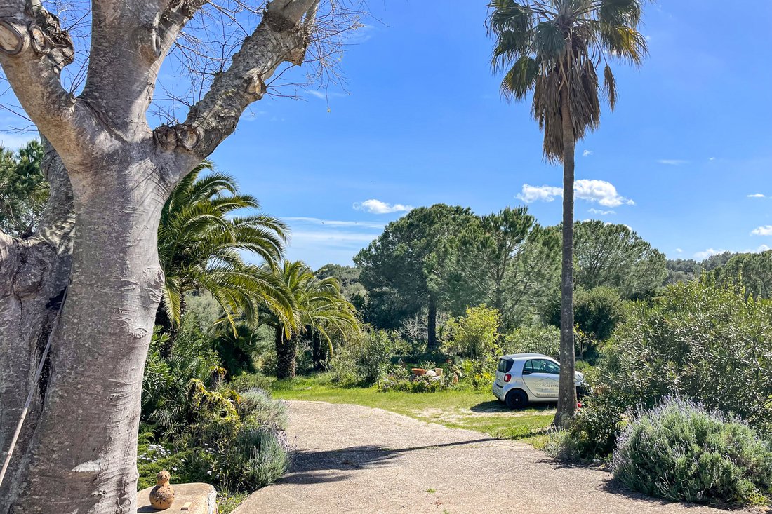 Country House in Arta, Balearic Islands, Spain 3 - 17645690