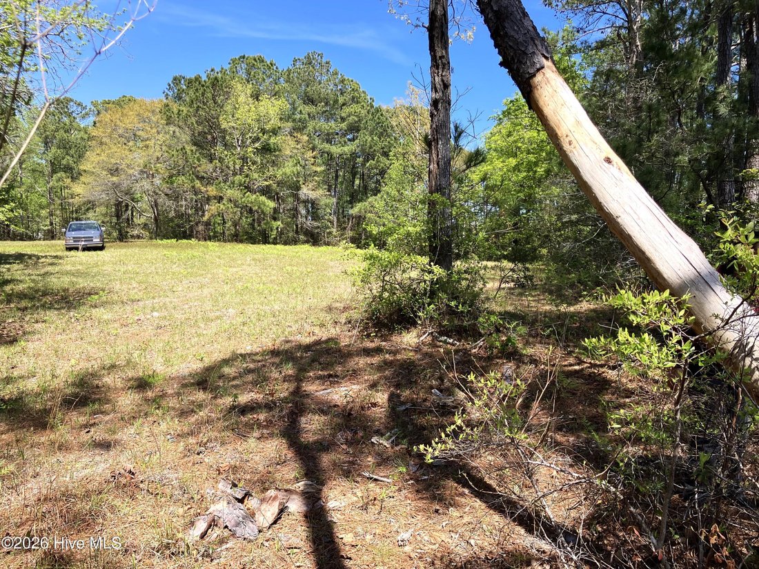 Land in Havelock, North Carolina, United States 5 - 17630131