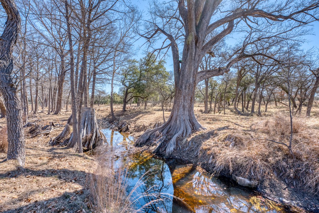 Farm Ranch in Round Mountain, Texas, United States 2 - 17644844