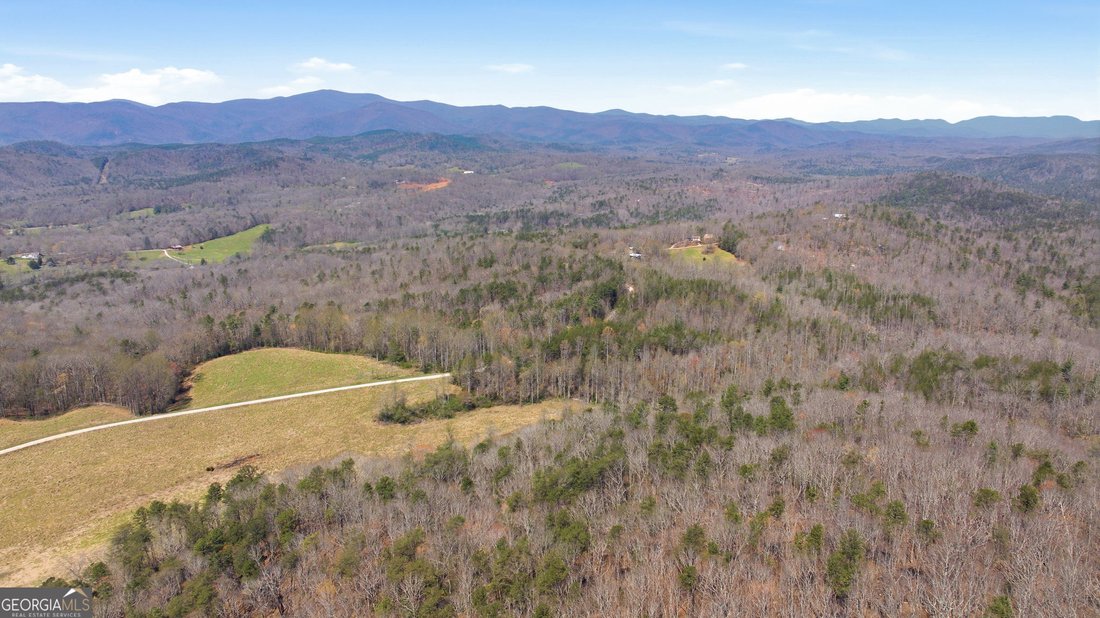 Farm Ranch in Clarkesville, Georgia, United States 1 - 17646065