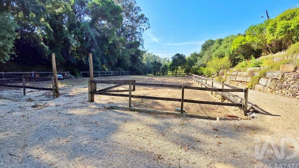 Farm Ranch in Bombarral e Vale Covo, Leiria District, Portugal 3 - 17653007