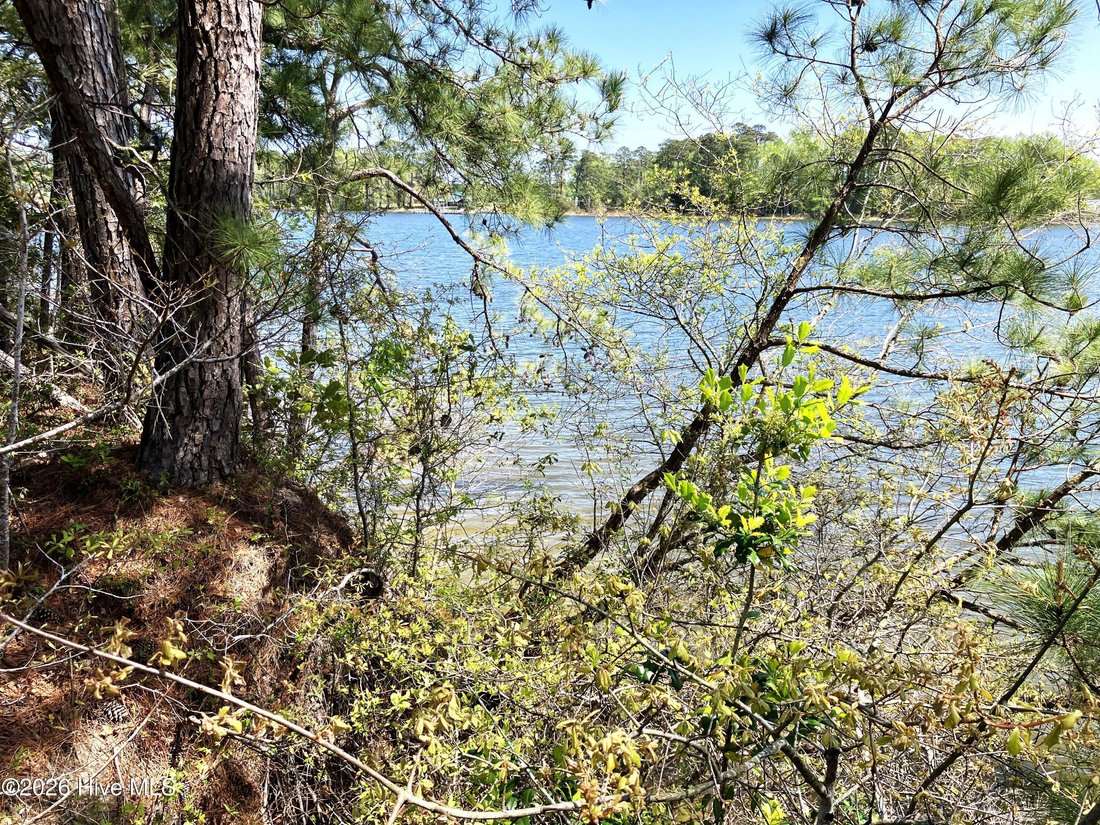 Land in Havelock, North Carolina, United States 3 - 17630131