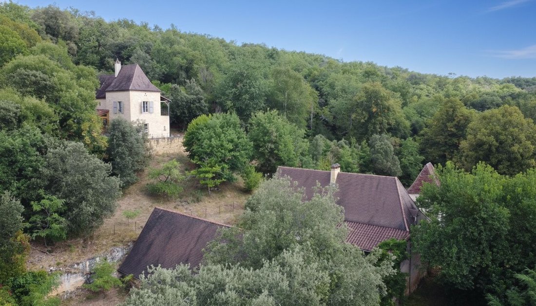 Estate in Montignac-Lascaux, Nouvelle-Aquitaine, France 1 - 16501066