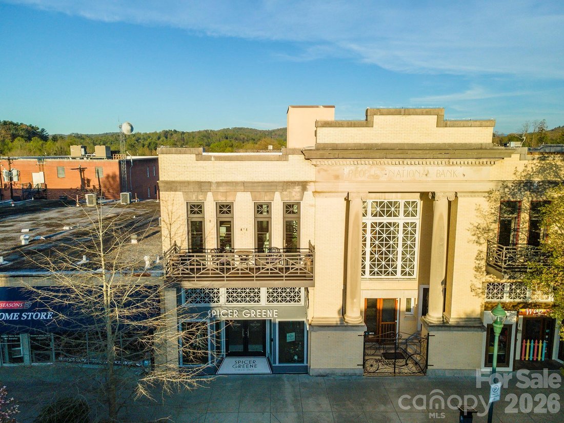 Condo in Laurel Park, North Carolina, United States 1 - 17659039